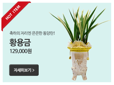 축하의 자리엔 은은한 동양란! 황용금 129,000원